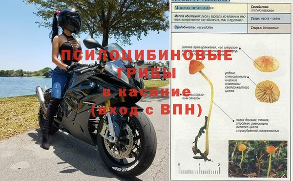 ешки Богданович