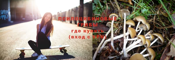 спиды Беломорск