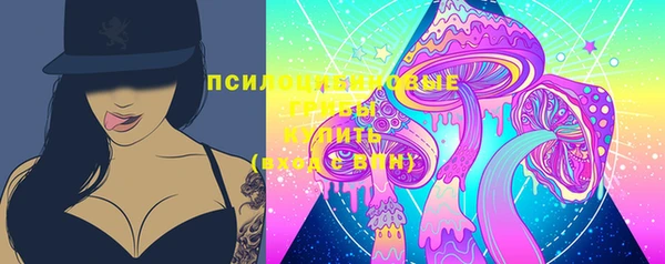 ешки Богданович