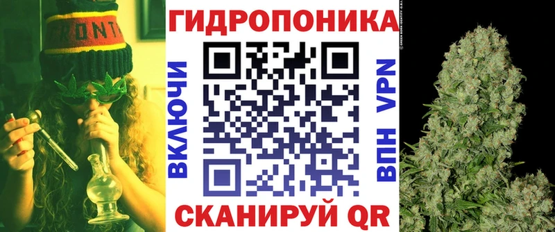 где купить наркоту  Весьегонск  блэк спрут ССЫЛКА  Бошки марихуана OG Kush 
